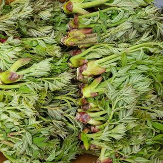 주대성님의 작성글 사진