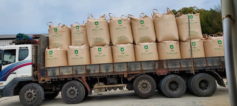 김영진(전남영광)님의 장터 판매 상품 [일반 신동진쌀 20kg 판매해요] 첨부 사진