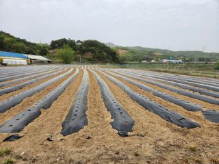 HYUN님의 참깨 · 자유게시판 작성글 사진