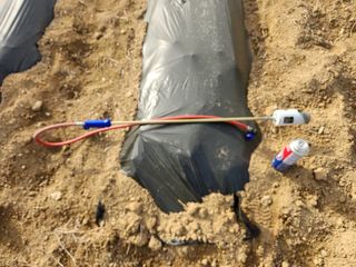 HYUN님의 참깨 · 자유게시판 작성글 사진