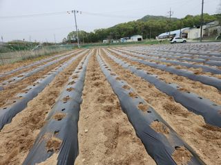 HYUN님의 참깨 · 자유게시판 작성글 사진