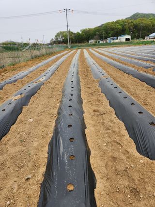 HYUN님의 참깨 · 자유게시판 작성글 사진