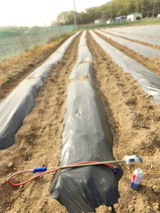 HYUN님의 참깨 · 자유게시판 작성글 사진