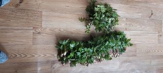 아우토반 님의 작성글 사진