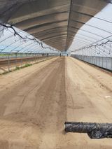 팜모닝 자유주제·사진전 게시글 이미지