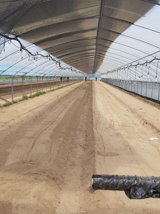 금산깻잎(최환용)님의 자유주제 · 사진전 작성글 사진