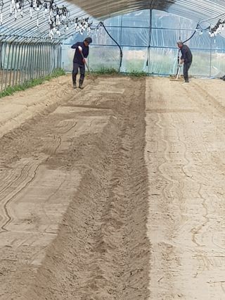 금산깻잎(최환용)님의 자유주제 · 사진전 작성글 사진