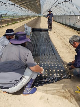 금산깻잎(최환용)님의 자유주제 · 사진전 작성글 사진