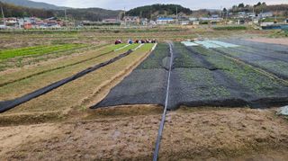 조병대님의 기타작물 · 자유게시판 작성글 사진