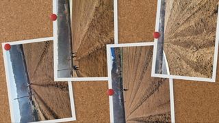 조병대님의 기타작물 · 자유게시판 작성글 사진