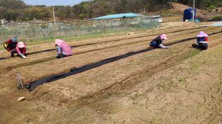 조병대님의 기타작물 · 자유게시판 작성글 사진