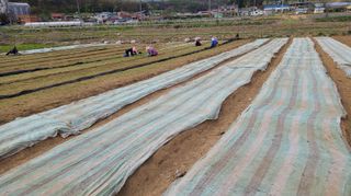 조병대님의 기타작물 · 자유게시판 작성글 사진