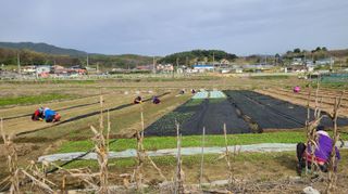 조병대님의 기타작물 · 자유게시판 작성글 사진