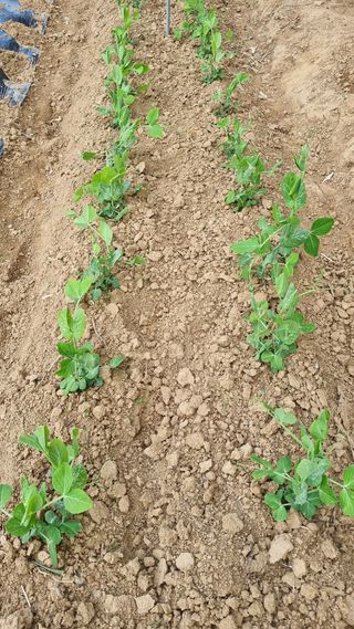 함영규님의 자유주제 · 자유게시판 작성글 사진