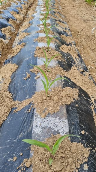 함영규님의 자유주제 · 자유게시판 작성글 사진