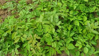 함영규님의 자유주제 · 자유게시판 작성글 사진