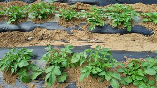 함영규님의 자유주제 · 자유게시판 작성글 사진