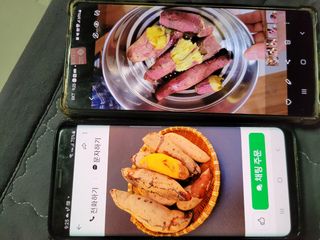 박연수님의 고구마 · 자유게시판 작성글 사진