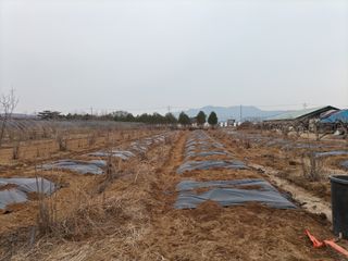 김경수님의 자유주제 · 자유게시판 작성글 사진