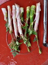 알 수 없음님의 두릅·삽목•정식 작성글 사진