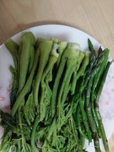 금동이네님의 자유주제·자유게시판 작성글 사진