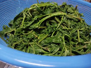 금동이네님의 자유주제 · 자유게시판 작성글 사진