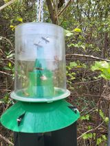 팜모닝 복숭아·자유게시판 게시글 이미지