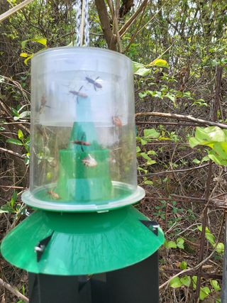 최홍선님의 복숭아 · 자유게시판 작성글 사진