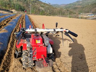 여우내 이순홍님의 고추 · 토양준비 작성글 사진