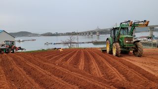 무안선유농원님의 고구마 · 자유게시판 작성글 사진