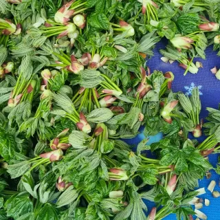 박승수님의 작성글 사진