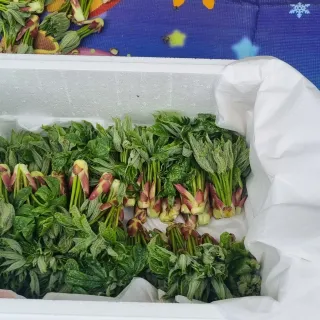 박승수님의 작성글 사진