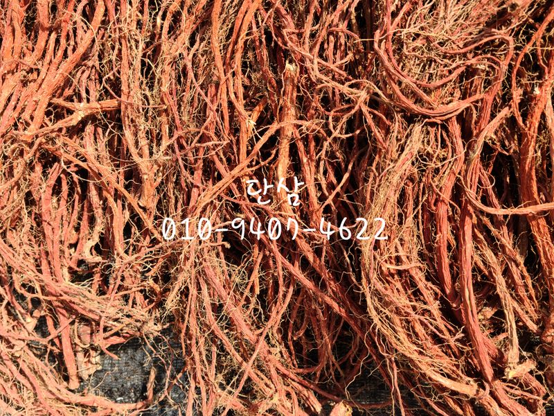 단삼님의 장터 판매 상품 [단삼100g] 첨부 사진