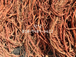 단삼님의 작성글 사진