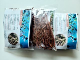 단삼님의 작성글 사진