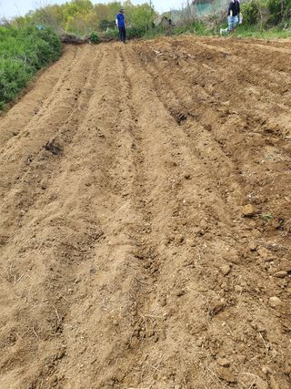 아준님의 참깨 · 자유게시판 작성글 사진