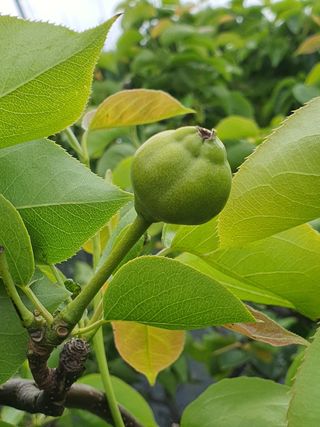 하나라도 소중하게님의 배 · 일상 작성글 사진