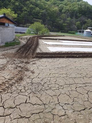 김종은님의 벼 · 자유게시판 작성글 사진