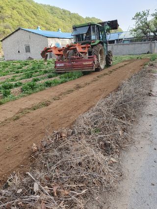 김종은님의 참깨 · 자유게시판 작성글 사진