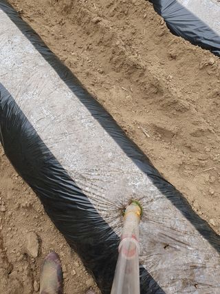 김종은님의 참깨 · 자유게시판 작성글 사진