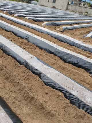 김종은님의 참깨 · 자유게시판 작성글 사진