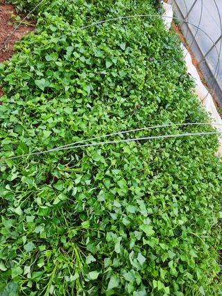 최승일님의 작성글 사진