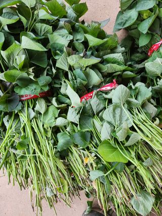 최승일님의 작성글 사진