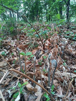 김경수님의 자유주제 · 자유게시판 작성글 사진