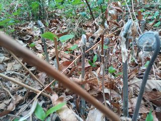 김경수님의 자유주제 · 자유게시판 작성글 사진