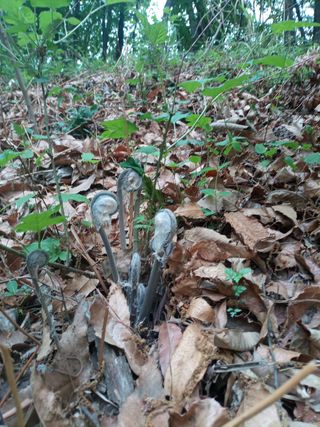 김경수님의 자유주제 · 자유게시판 작성글 사진