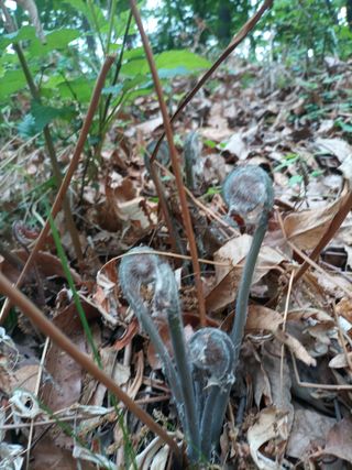 김경수님의 자유주제 · 자유게시판 작성글 사진