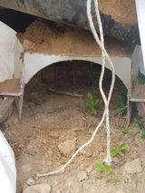 팜모닝 고추·일상 게시글 이미지