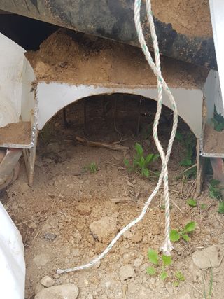 김건호님의 고추 · 일상 작성글 사진