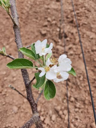 갈마골님의 자유주제 · 자유게시판 작성글 사진